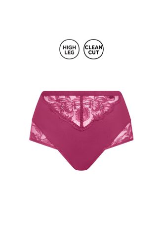 22362 ROBIN Briefs high