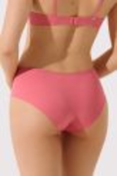 62591 SUNSET Brief panty