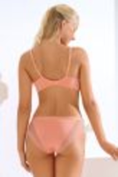 22357 POMPEYA Briefs